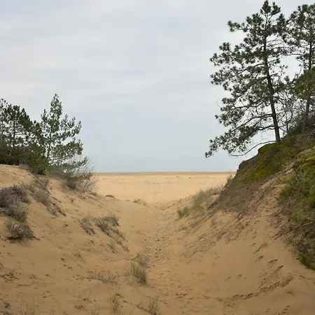 Apartment Charming Flat With Sea View Lignano Sabbiadoro